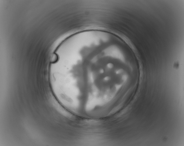 X0000113761246200910211202