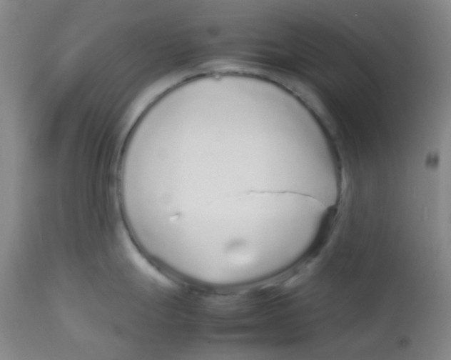 X0000113761247200910211202