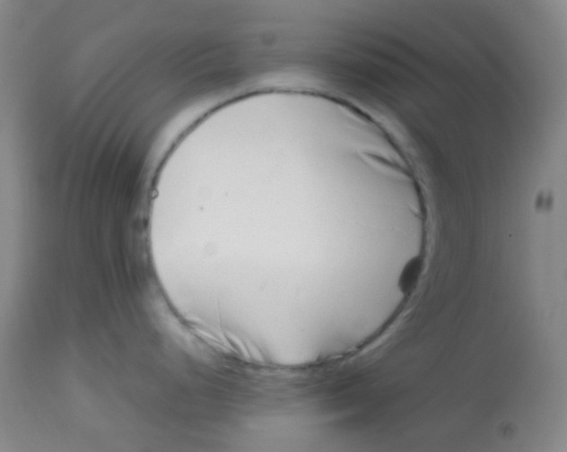 X0000113761248200910211202