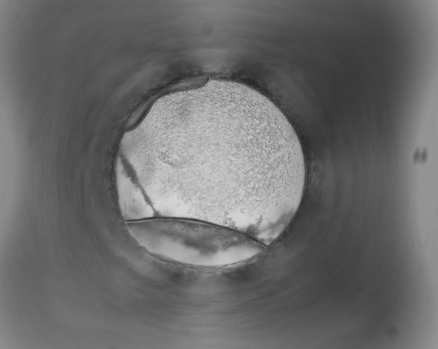 X0000113761249200910211201