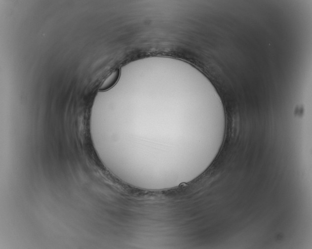 X0000113761250200910211201