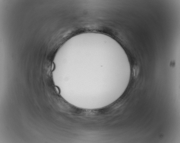 X0000113761251200910211201