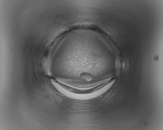 X0000113761252200910211201