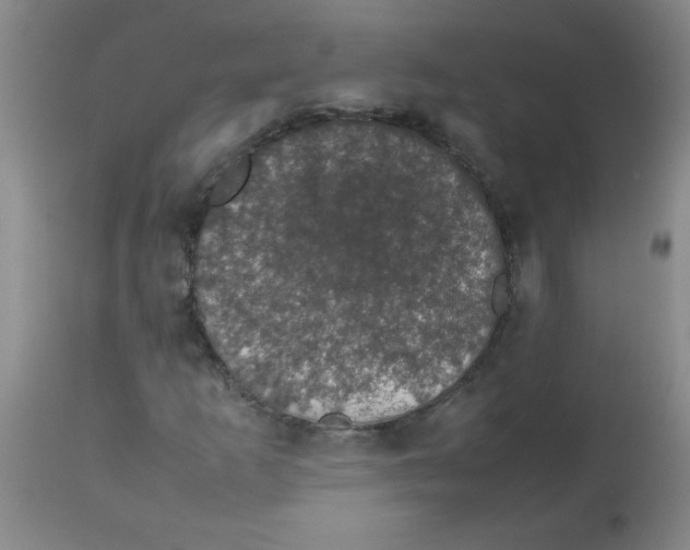 X0000113761253200910211201