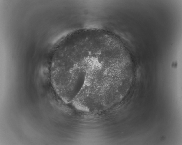 X0000113761254200910211201