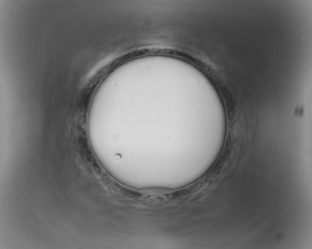 X0000113761255200910211201