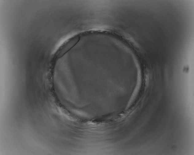 X0000113761256200910211201