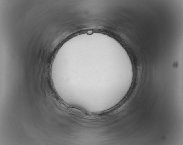 X0000113761257200910211201