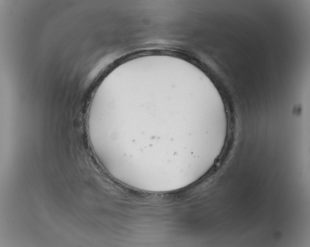 X0000113761259200910211201