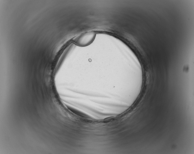 X0000113761260200910211201