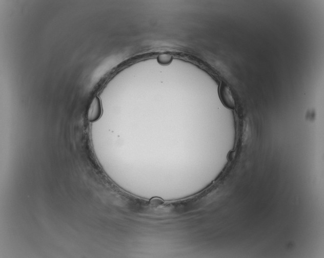 X0000113761261200910211201