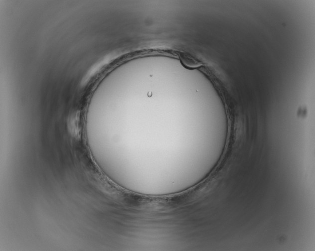 X0000113761262200910211201