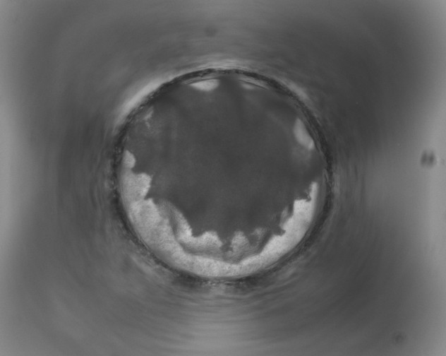 X0000113761263200910211201