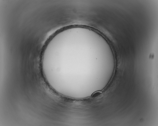 X0000113761264200910211201