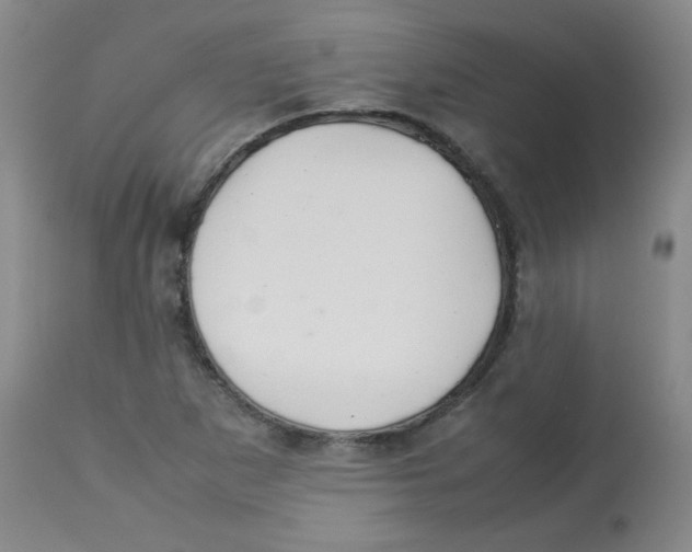 X0000113761265200910211201