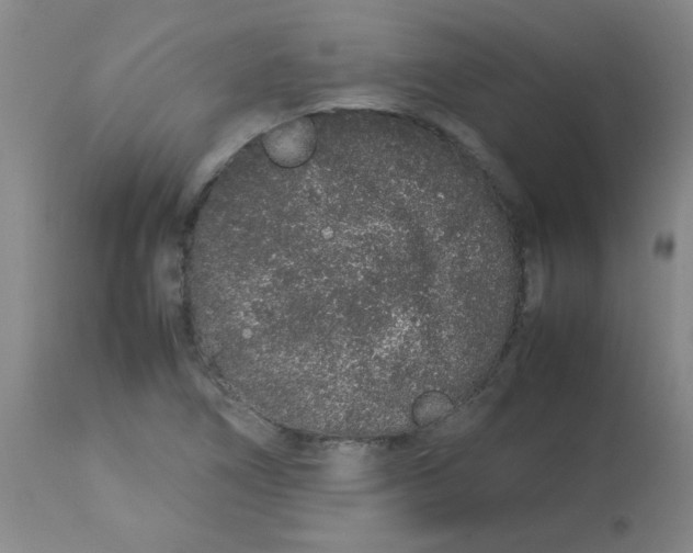 X0000113761266200910211201