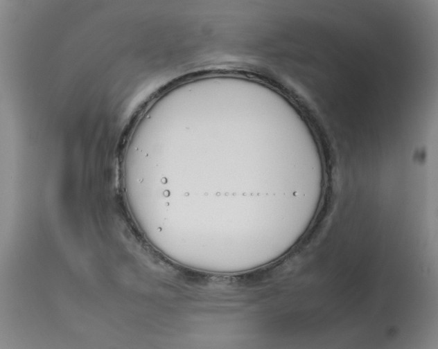 X0000113761267200910211201