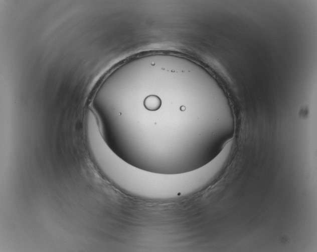 X0000113761268200910211201