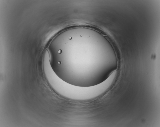 X0000113761269200910211201