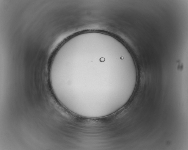 X0000113761270200910211201