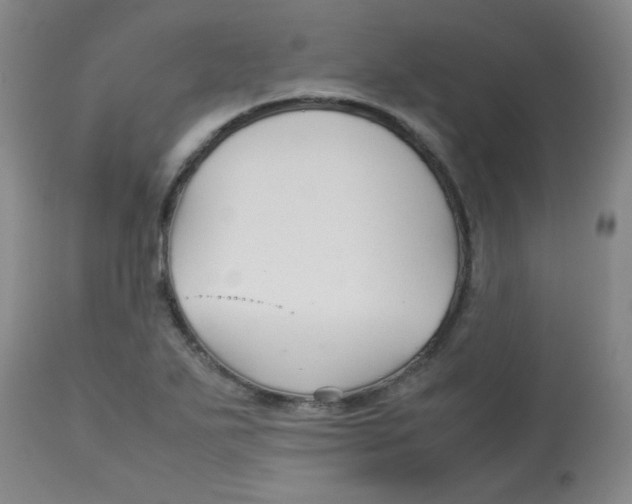 X0000113761271200910211201