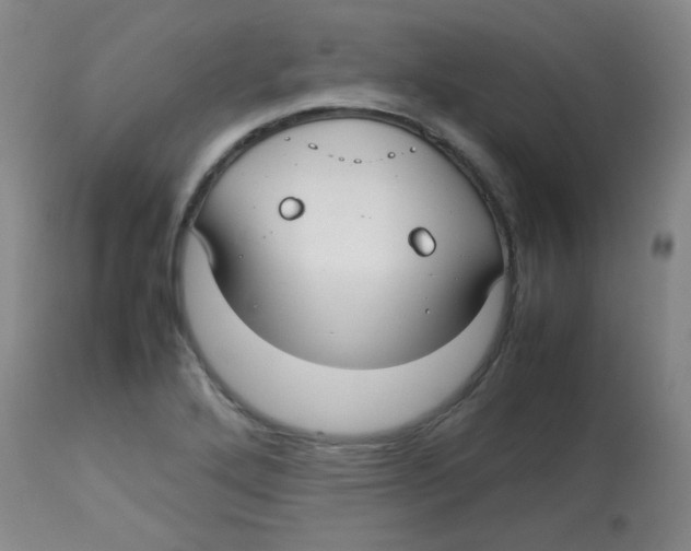 X0000113761272200910211201