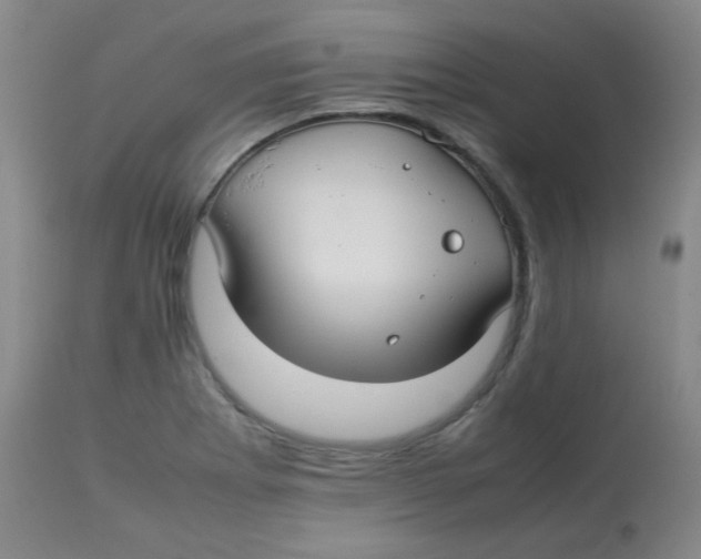 X0000113761273200910211201