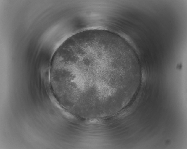 X0000113761274200910211201