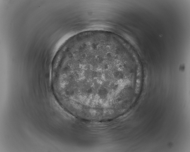 X0000113761275200910211201