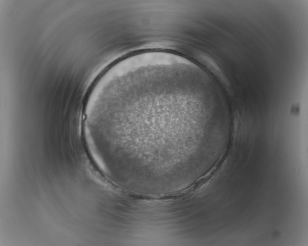 X0000113761276200910211201