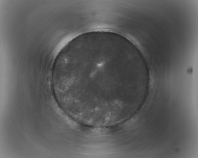 X0000113761277200910211200