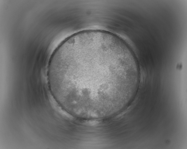 X0000113761278200910211200