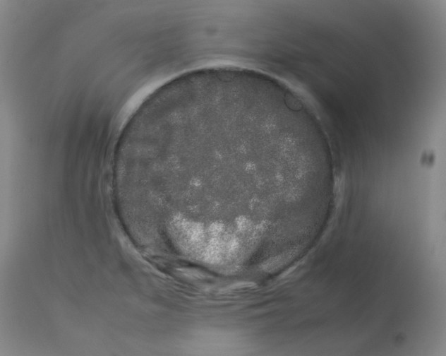 X0000113761279200910211200