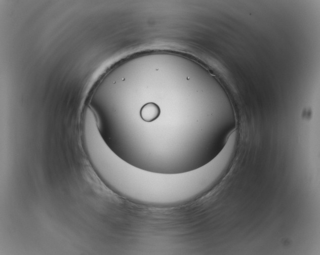 X0000113761280200910211200