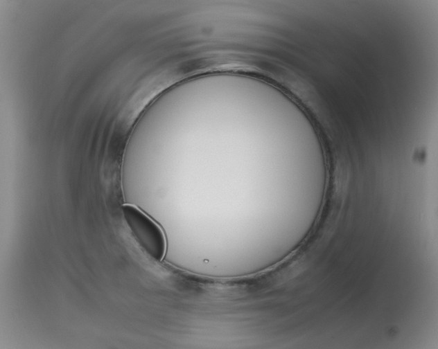 X0000113761281200910211200