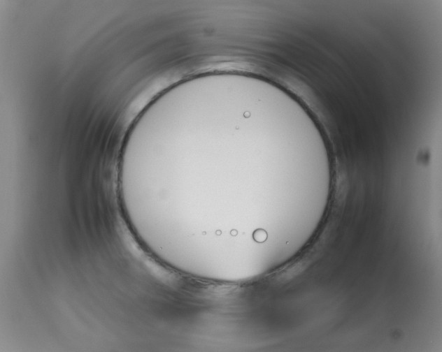 X0000113761282200910211200