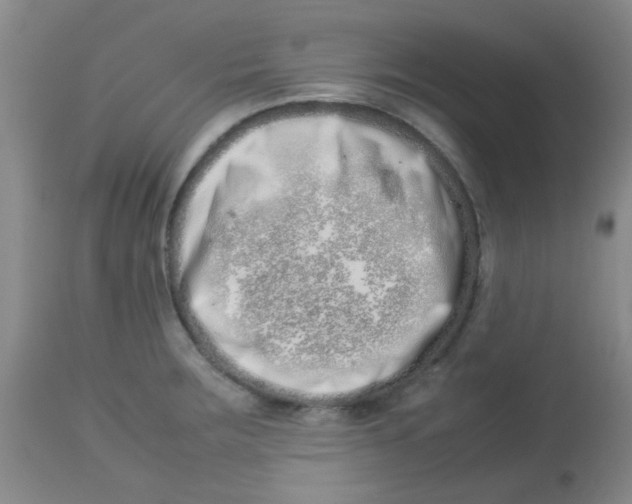 X0000113761283200910211200