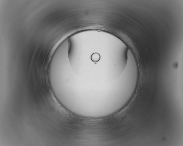 X0000113761284200910211200