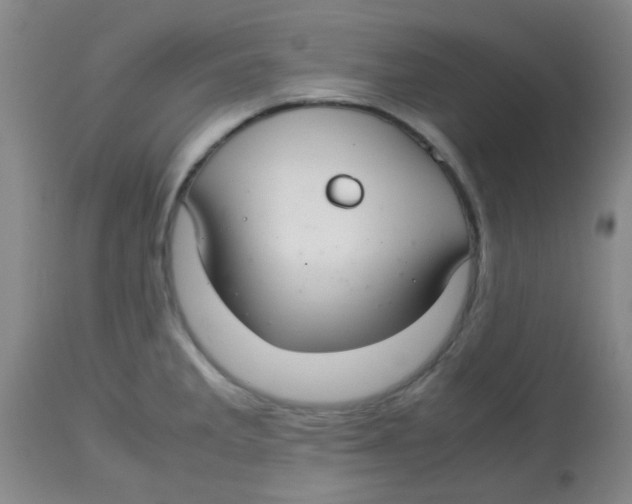 X0000113761285200910211200