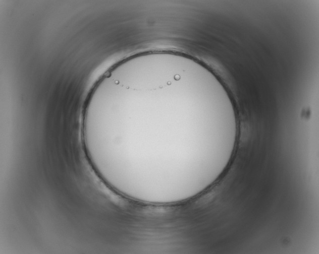 X0000113761286200910211200