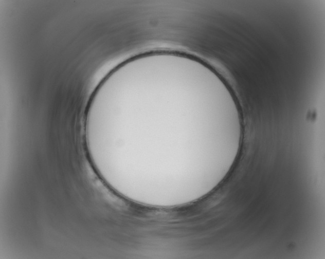 X0000113761287200910211200