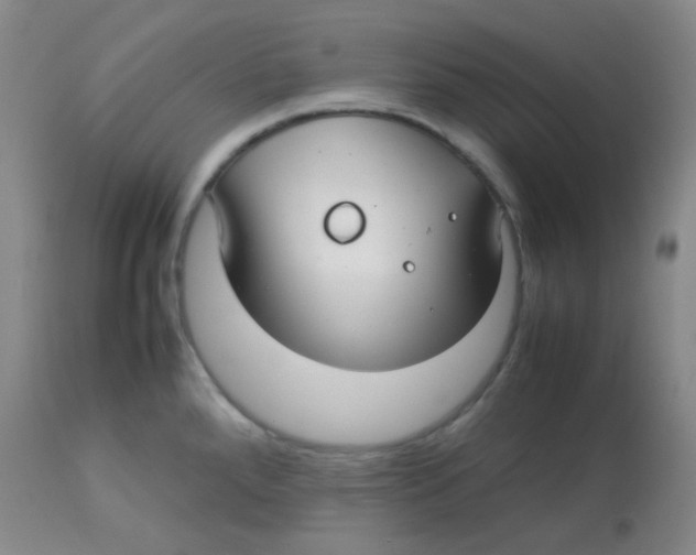 X0000113761288200910211200