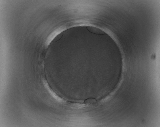 X0000113761289200910211200