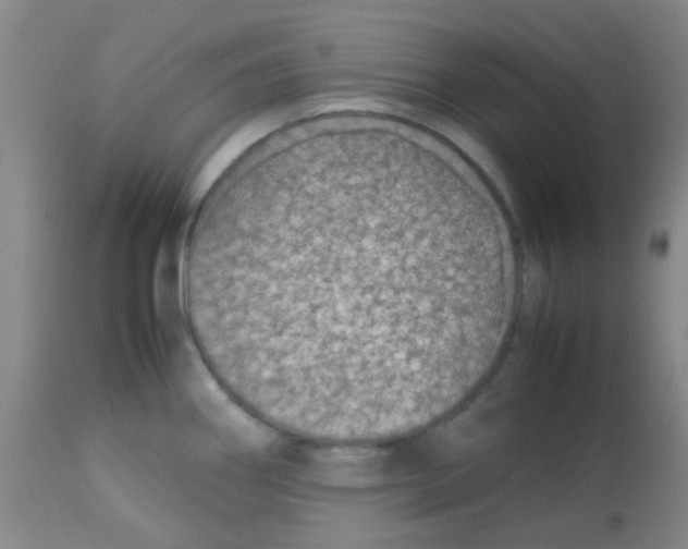 X0000113761290200910211200