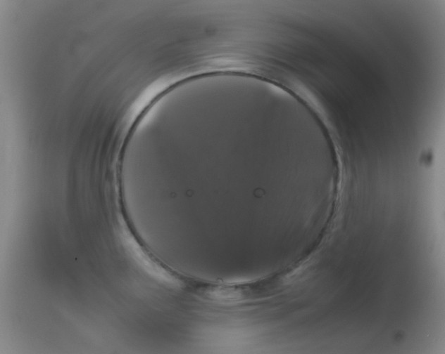 X0000113761291200910211200