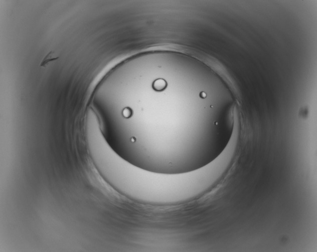 X0000113761292200910211200