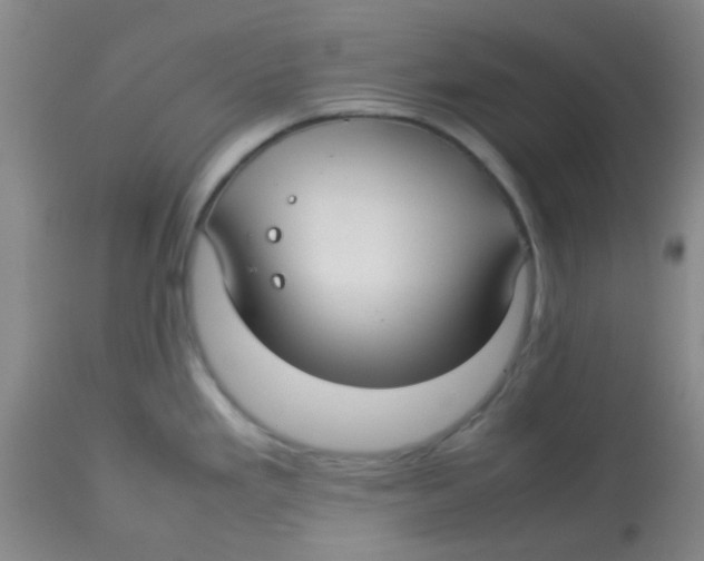 X0000113761293200910211200