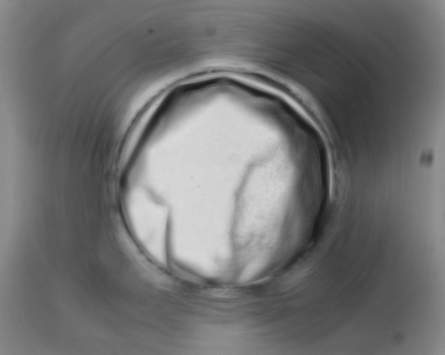 X0000113761295200910211200