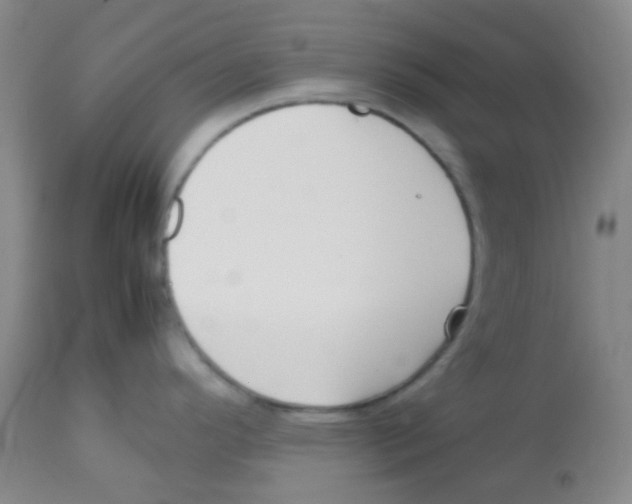 X0000113761296200910211200