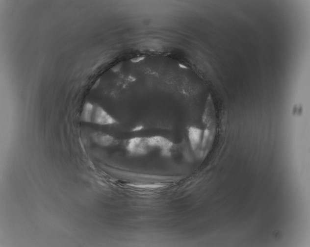 X0000113761297200910211200